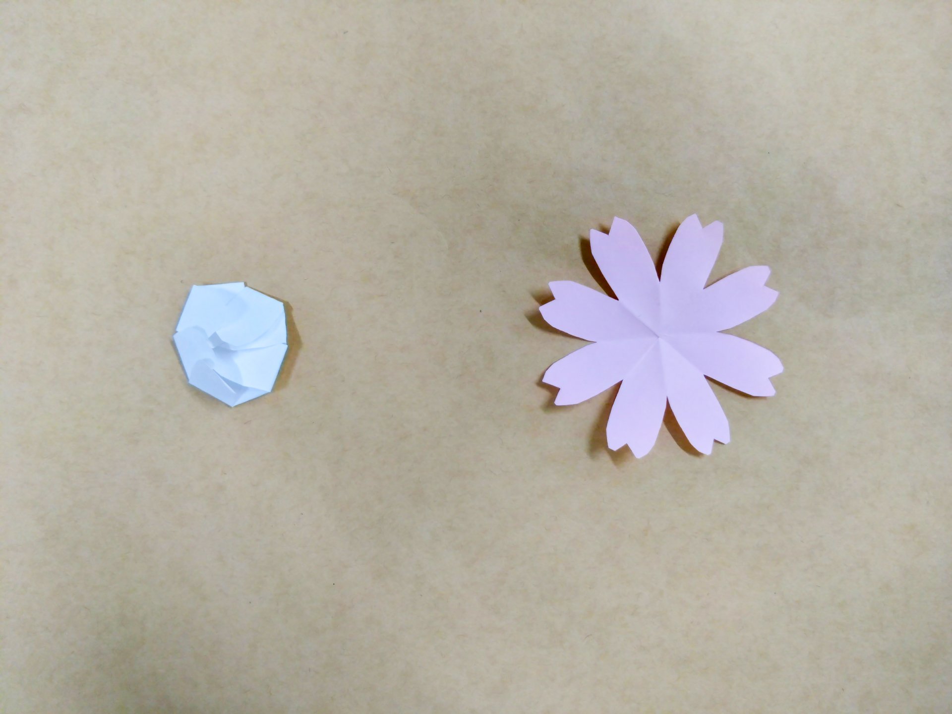 咲く紙の花のひみつ