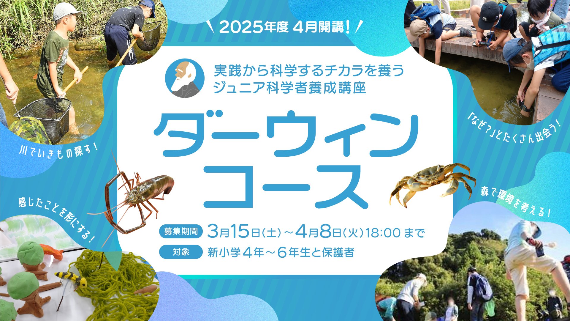 ダーウィンコース