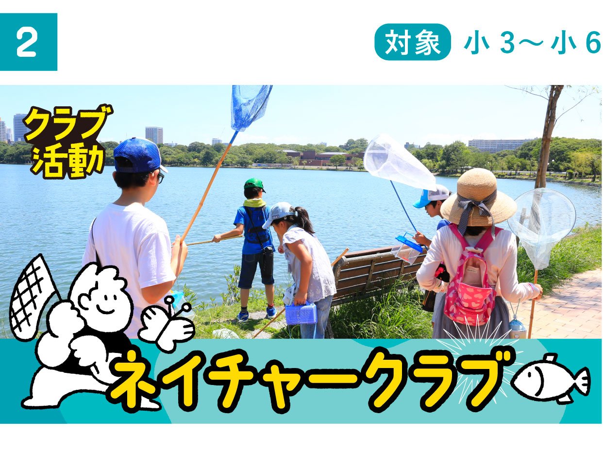 ネイチャー