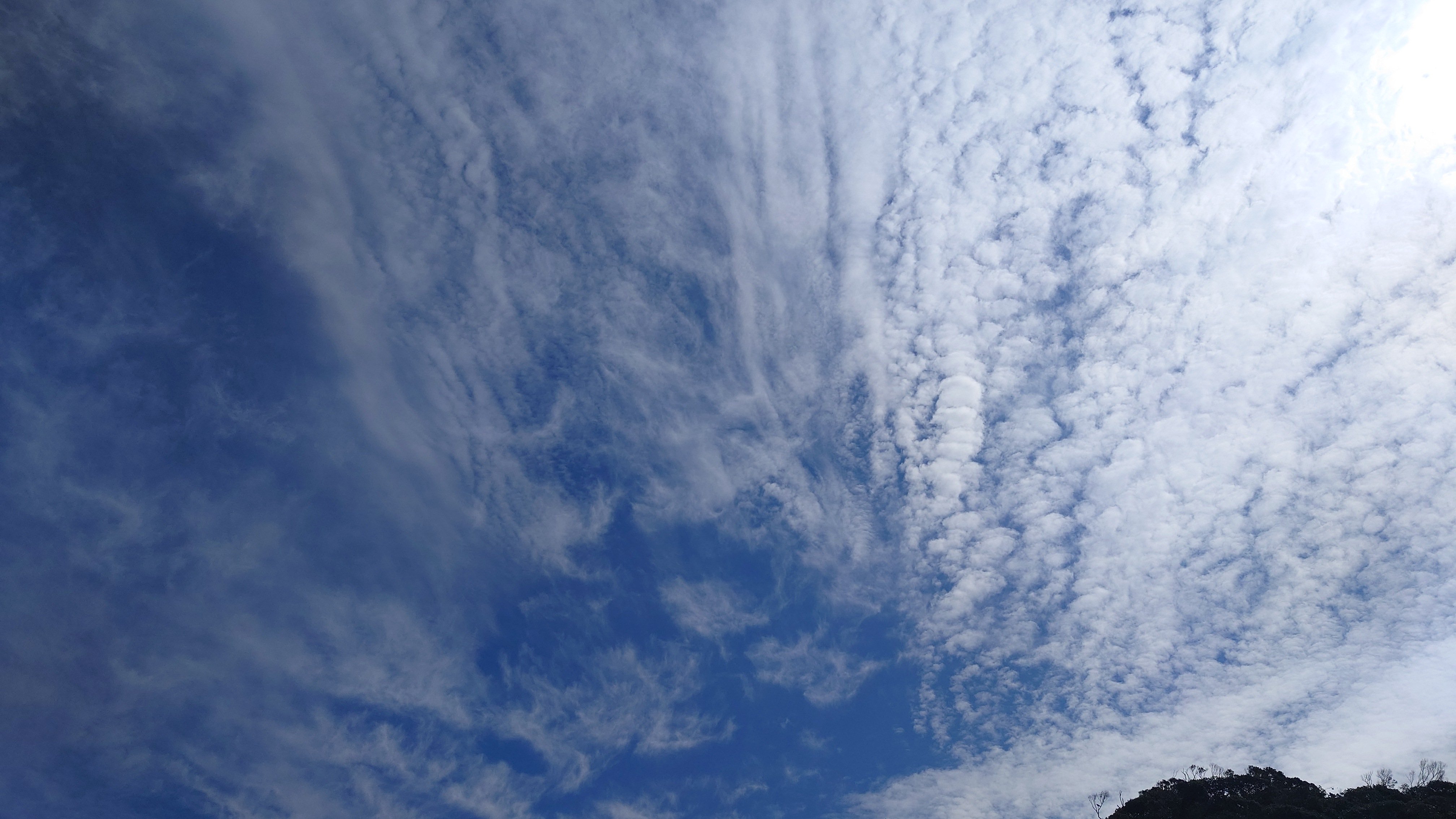 お空のかんさつ会
