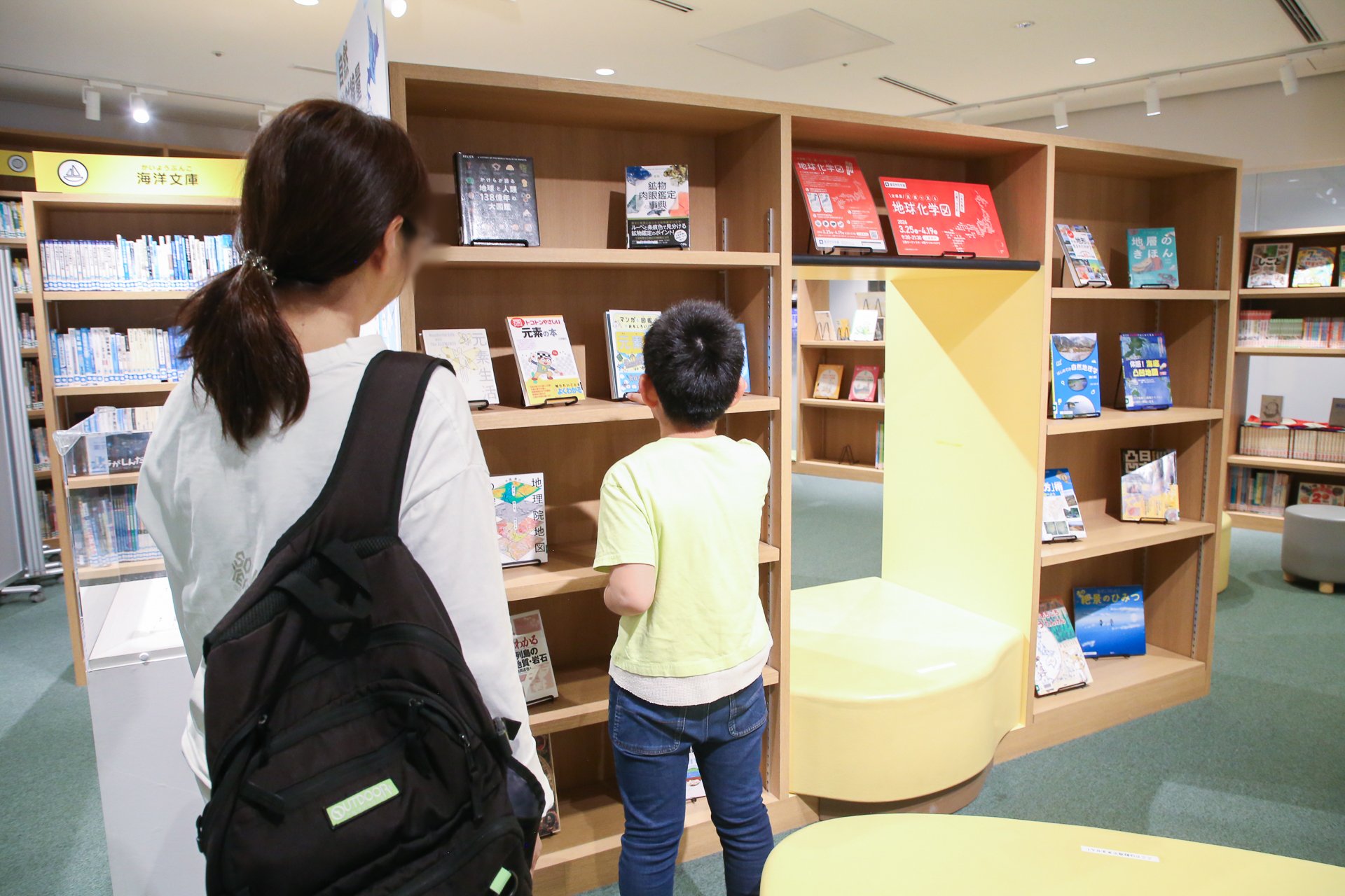 地球化学図