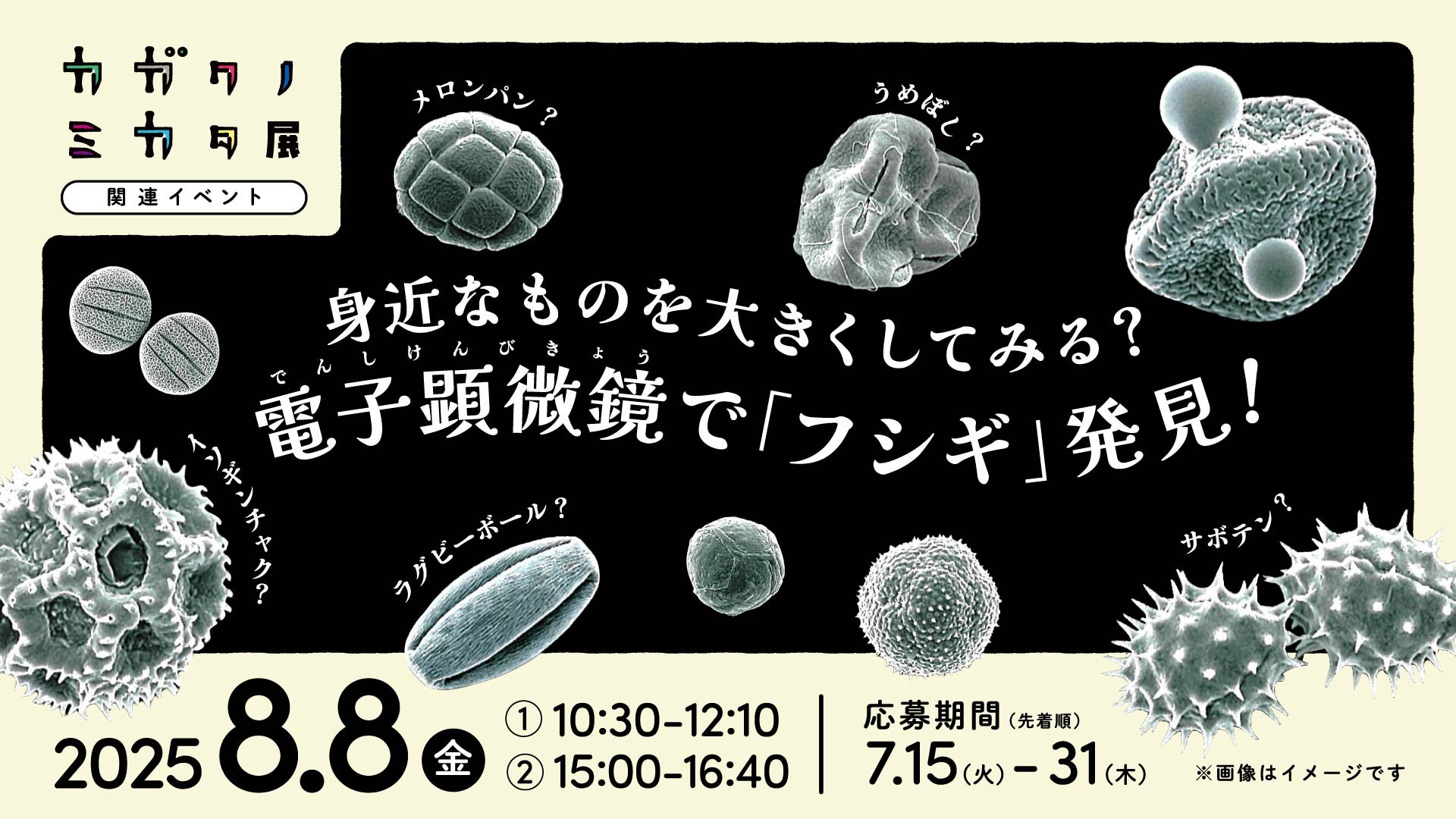 カガクノミカタ関連イベントバナー_250523_OL-02.jpg