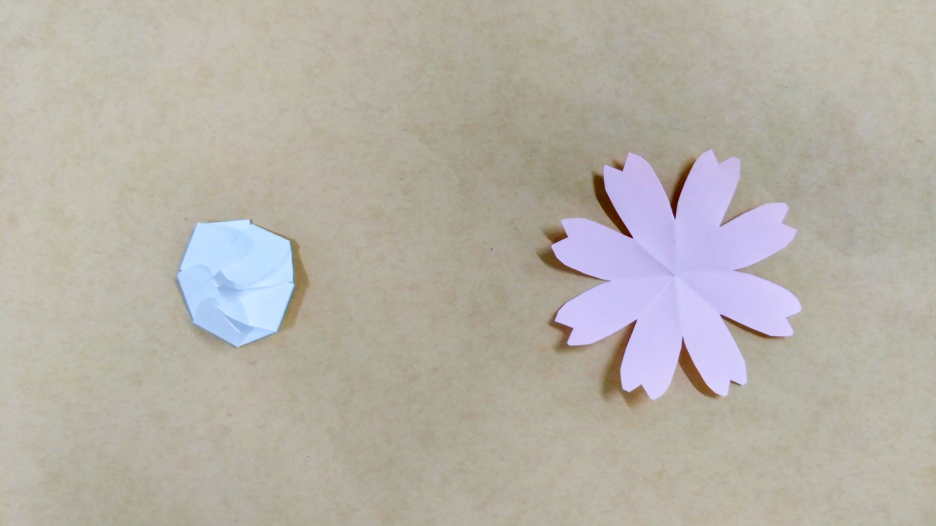 咲く紙の花のひみつ