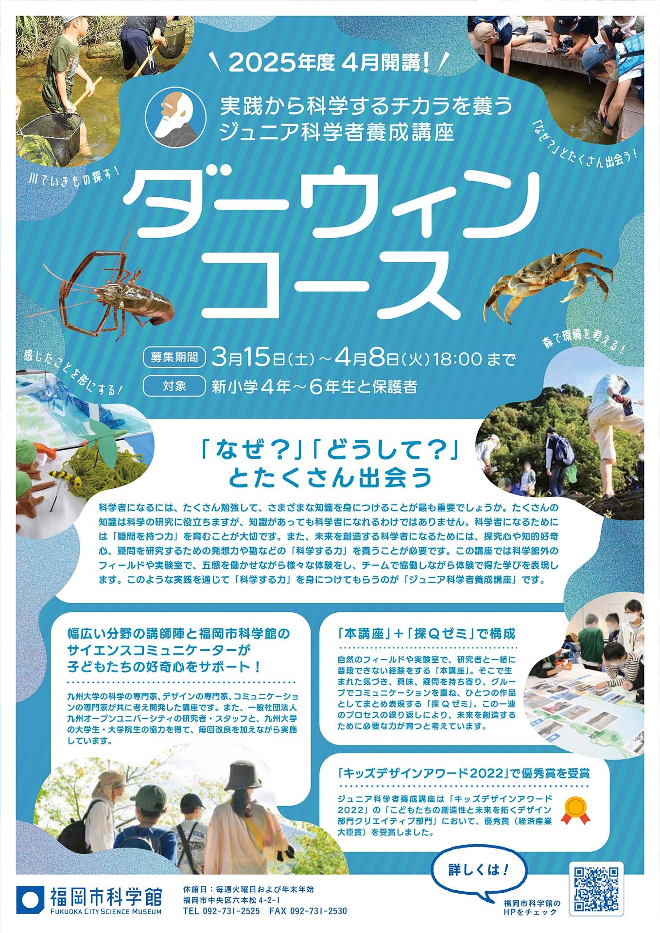 ダーウィンコースチラシ"