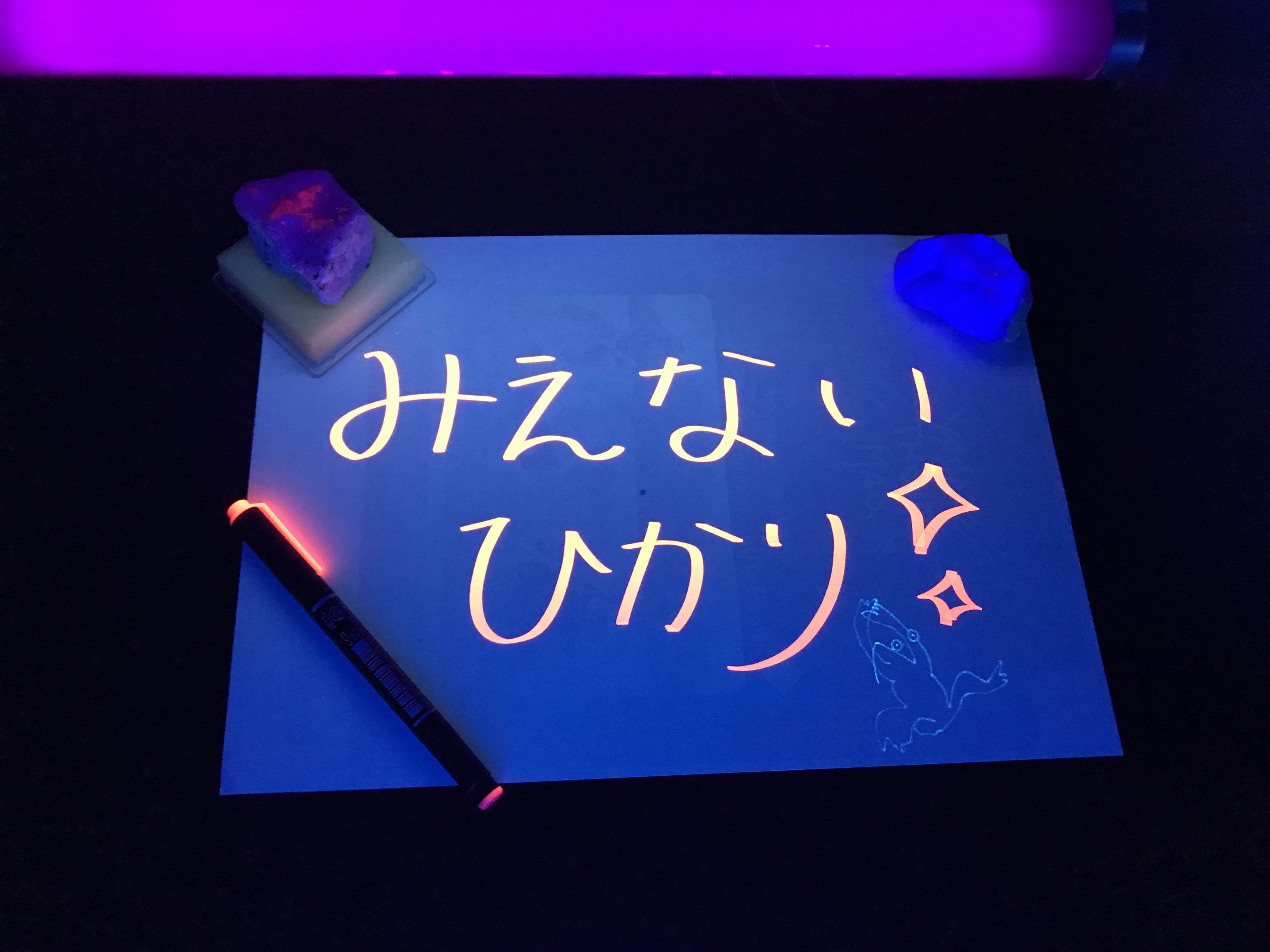テーブルサイエンス