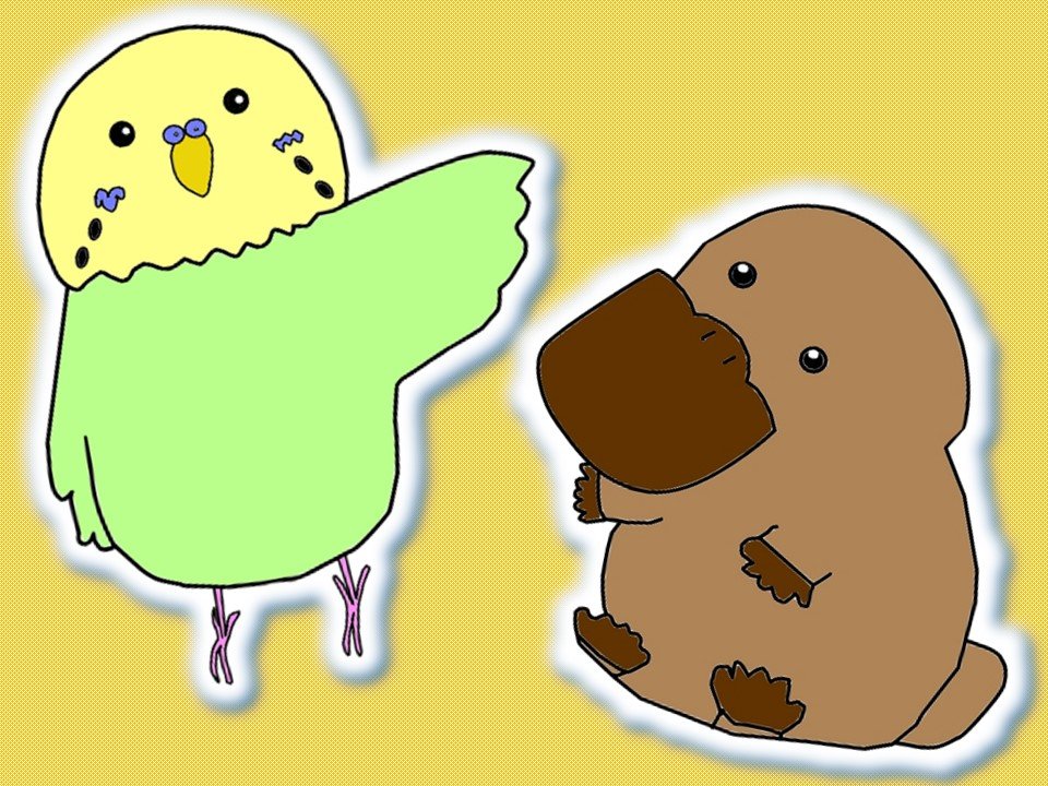 TSクチバシサムネ.jpg