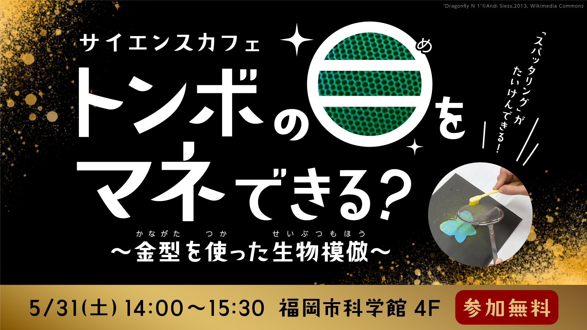 サイエンスカフェ「トンボの目をマネできる？～金属加工を使った生物模倣～」