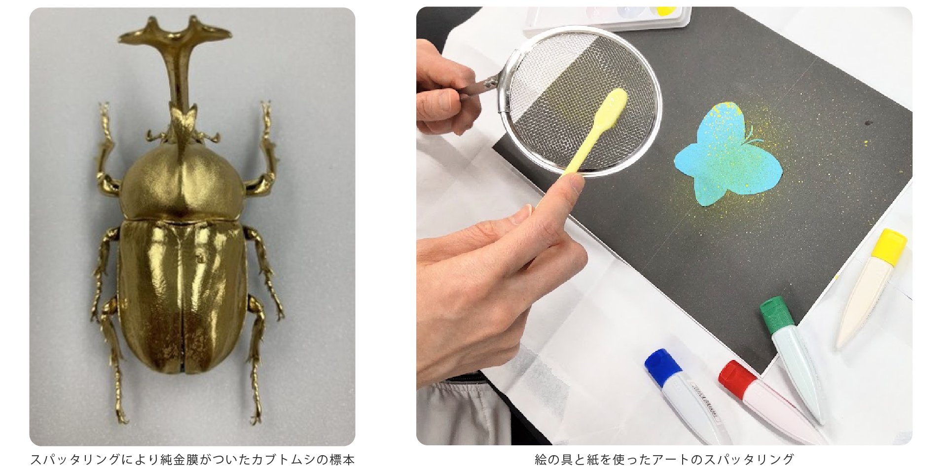 サイエンスカフェ「トンボの目をマネできる？～金属加工を使った生物模倣～」体験