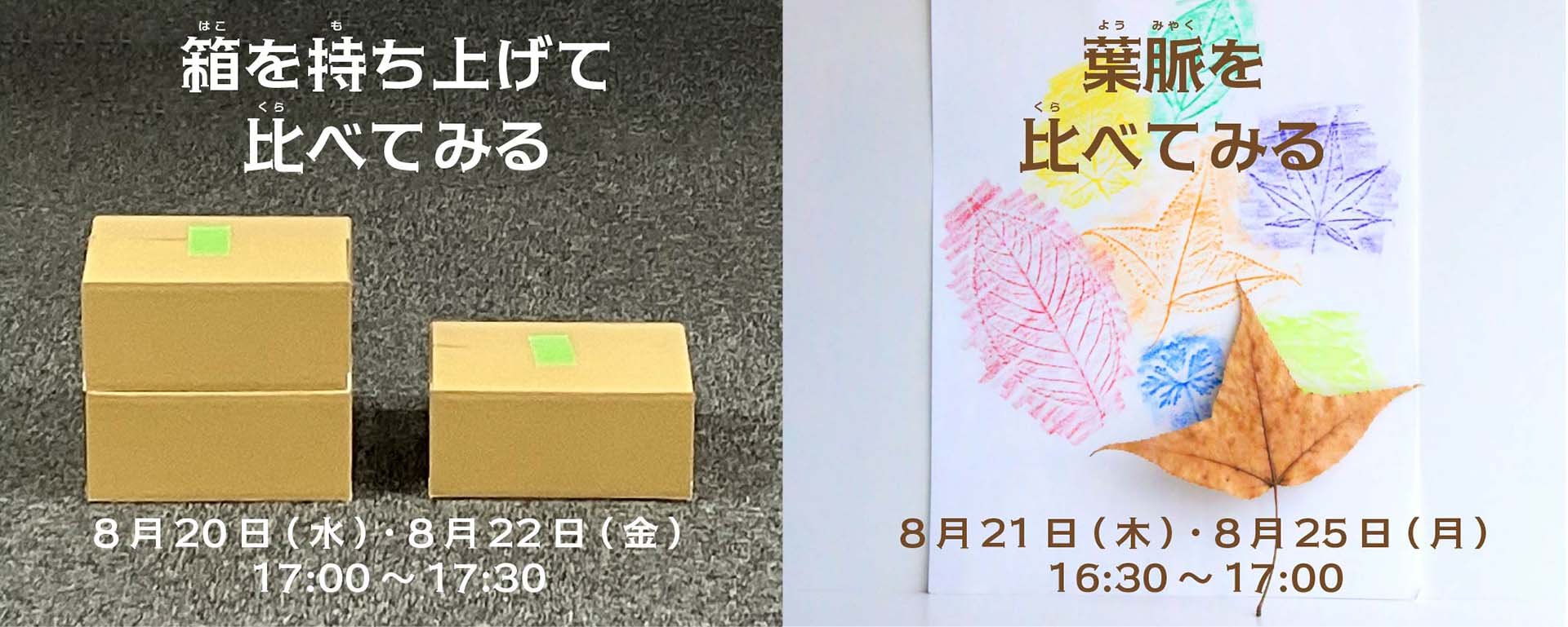 カガクノミカタ_WS_w1920バナー.jpg
