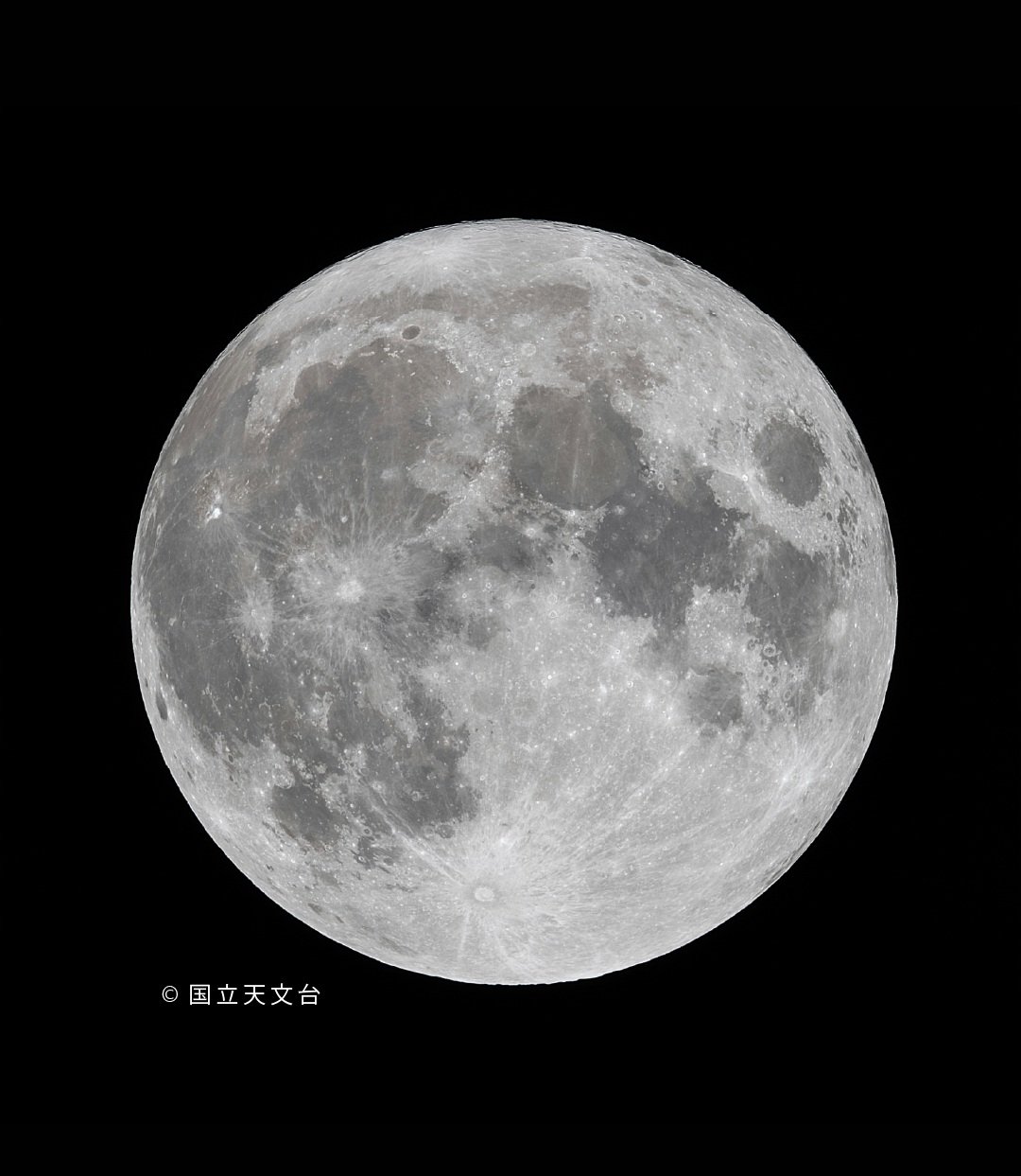 特別展「石川賢治月光写真展　月光浴　月夜の晩に」関連プログラム