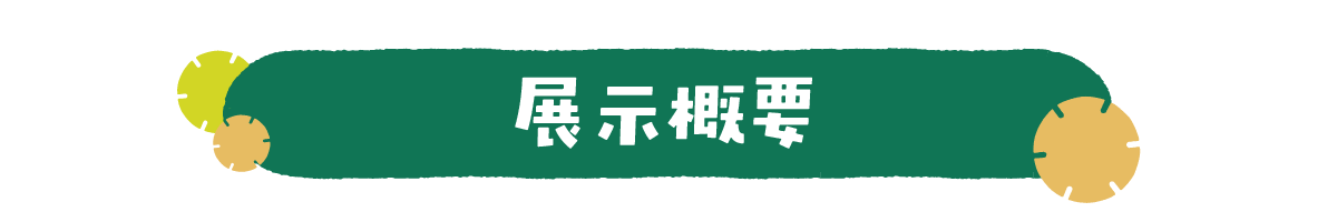 展示概要