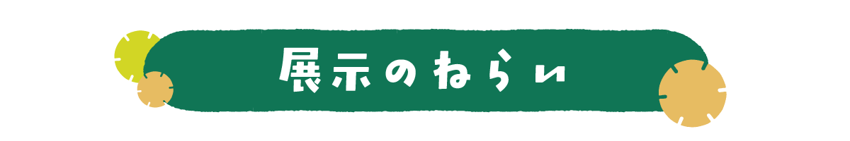 展示のねらい