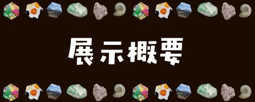 02 展示概要