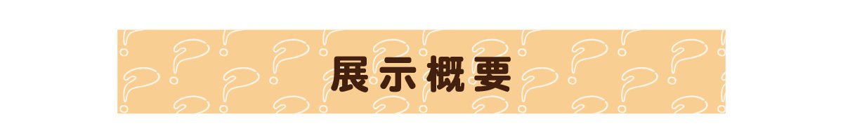 展示概要