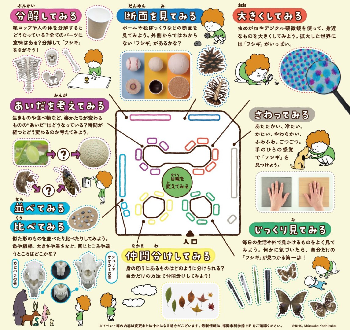展示構成