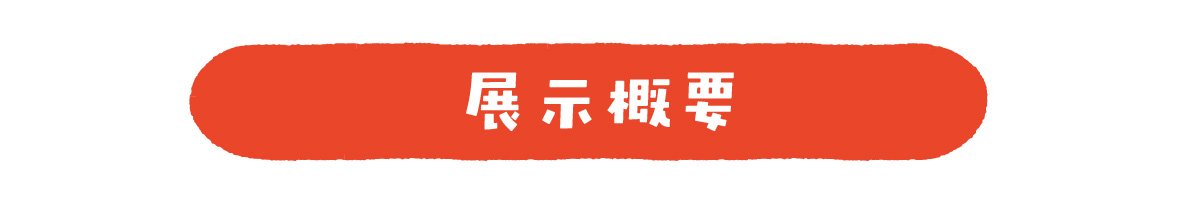 展示概要