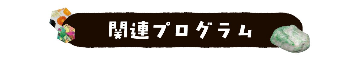 関連プログラム