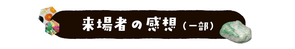 来場者の感想(一部)