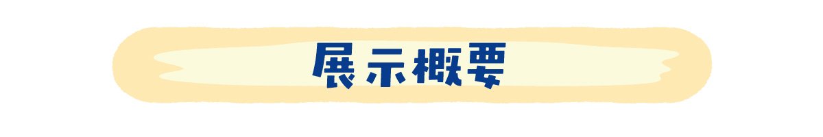 展示概要