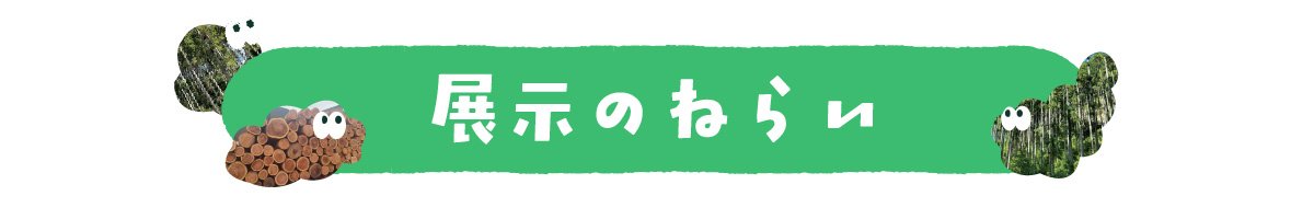 展示のねらい