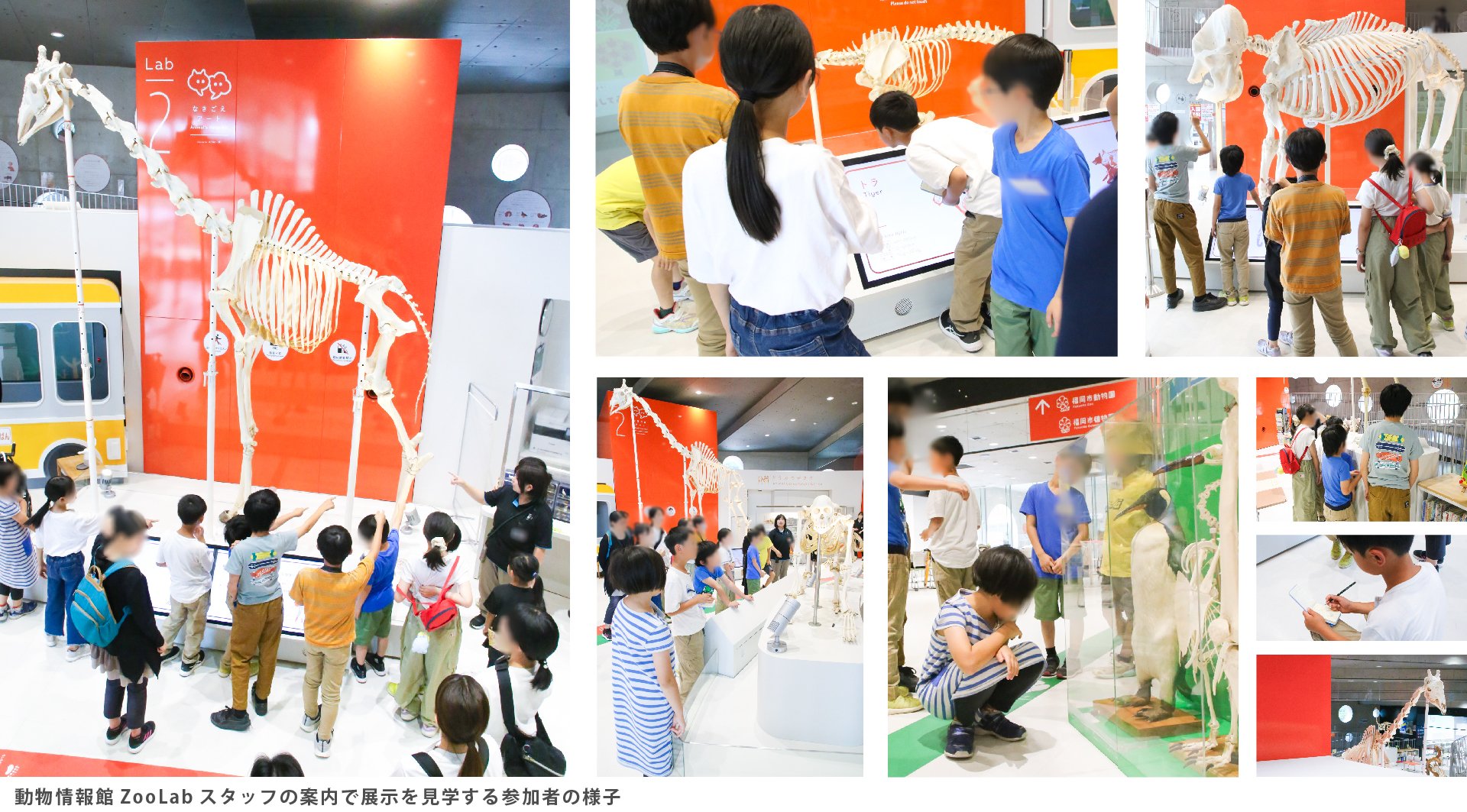 動物情報館見学の様子