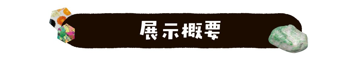 展示概要