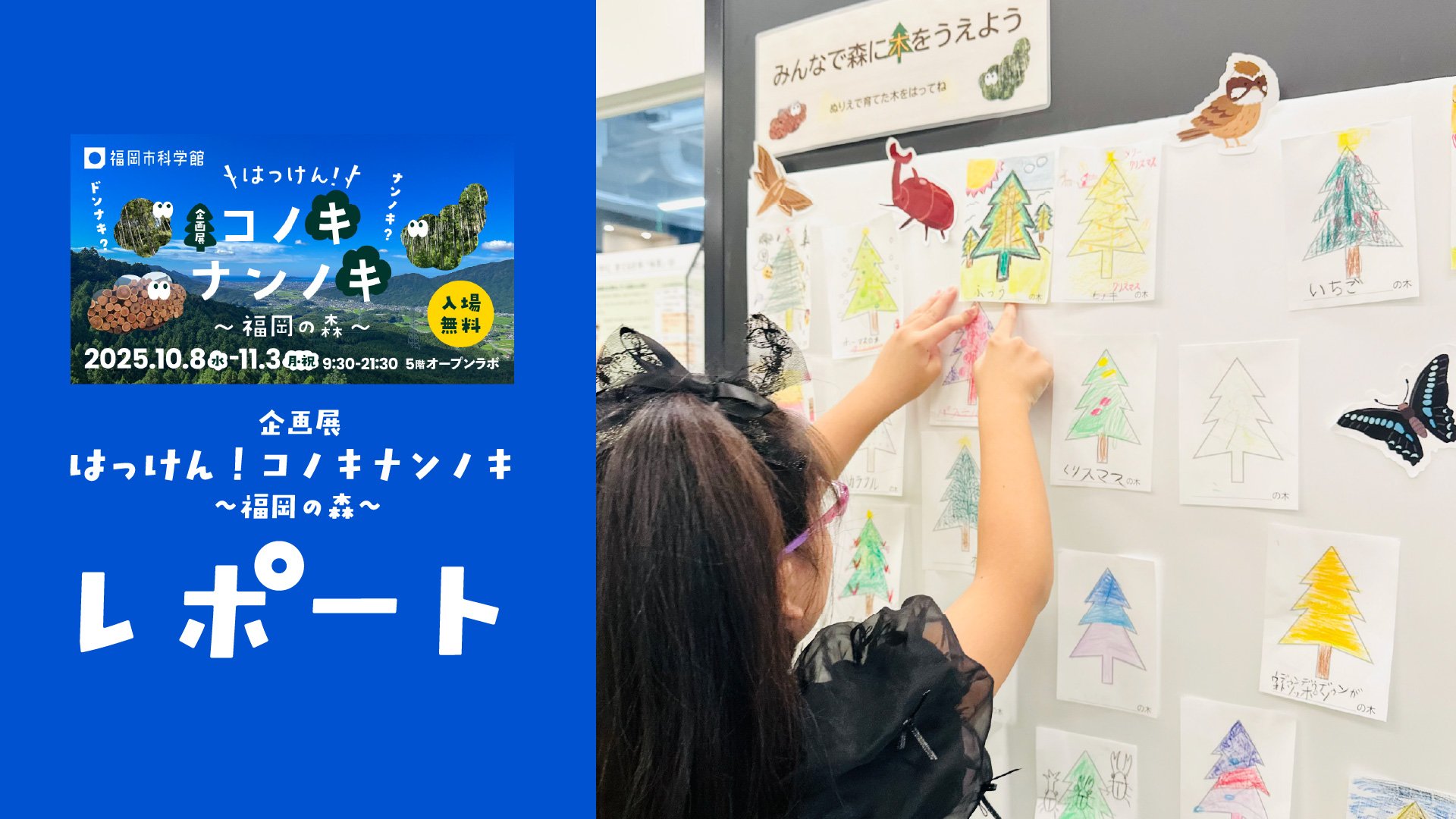 企画展「はっけん!コノキナンノキ~福岡の森~」