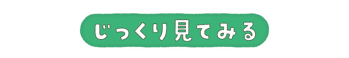 じっくり見てみる