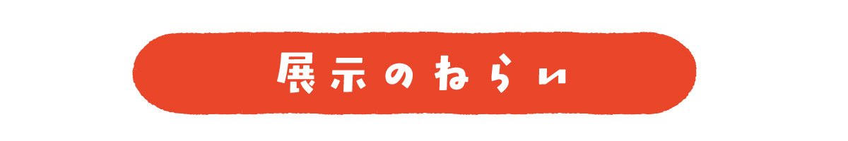 展示のねらい