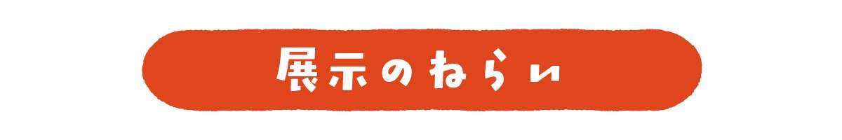 展示のねらい