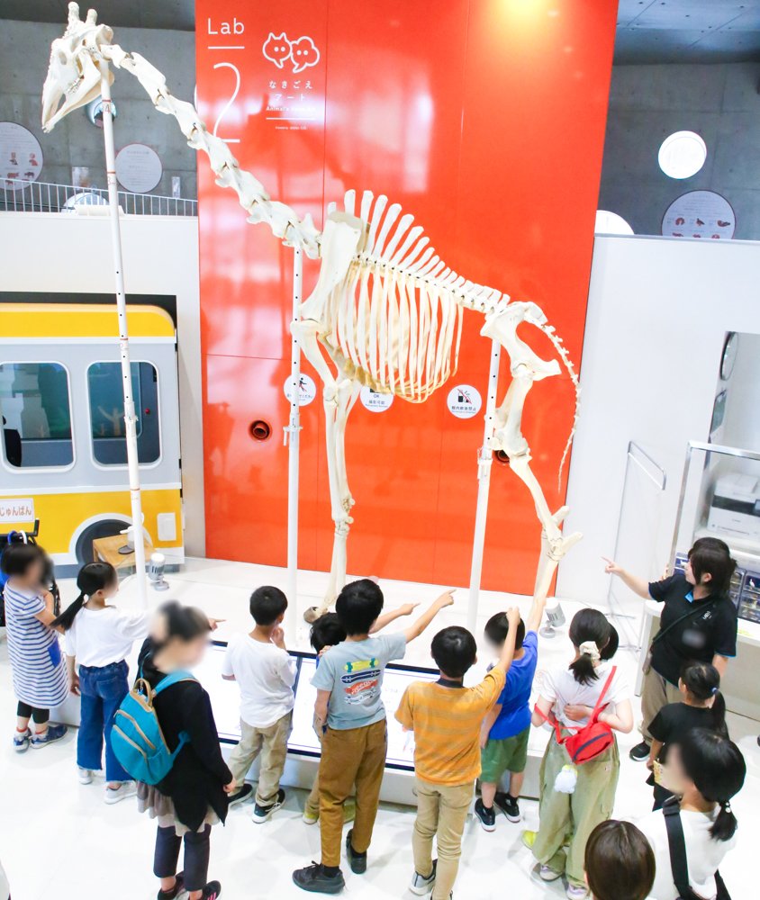 ZOO_1