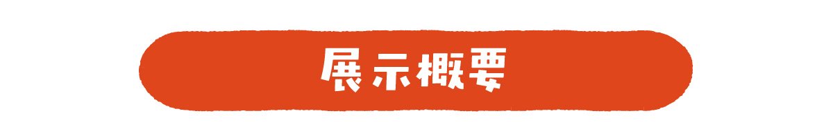 展示概要