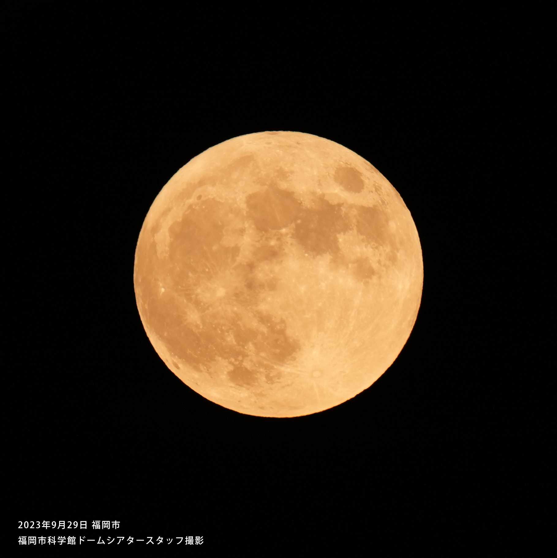 中秋の名月