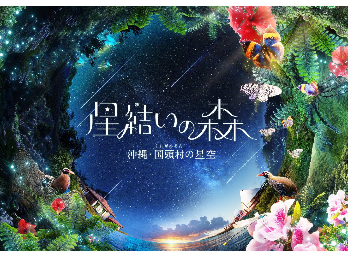 星結いの森
