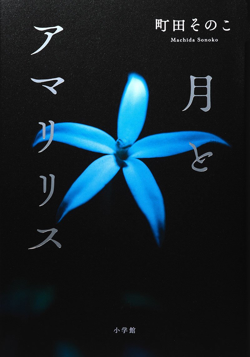 『月とアマリリス』（町田そのこ 著／小学館、2025年出版）