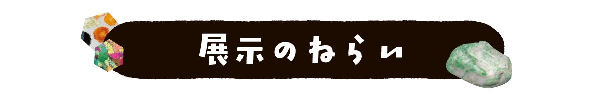 展示のねらい