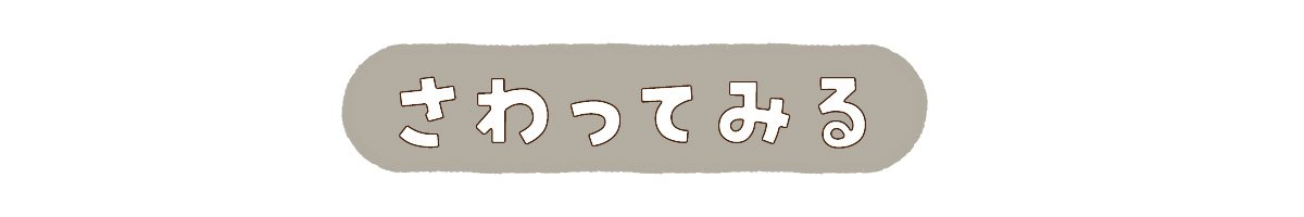 さわってみる