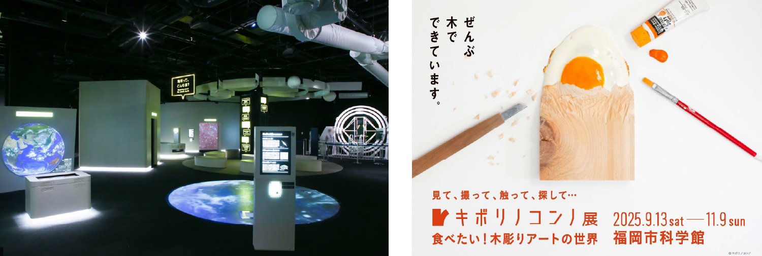 WEBチケット販売基本展示室キボリノコンノ.jpg