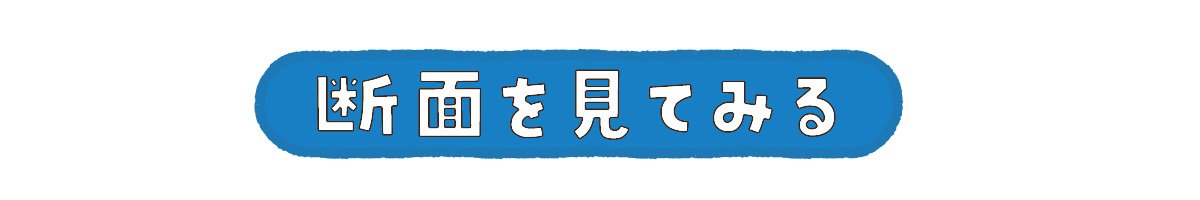 断面を見てみる