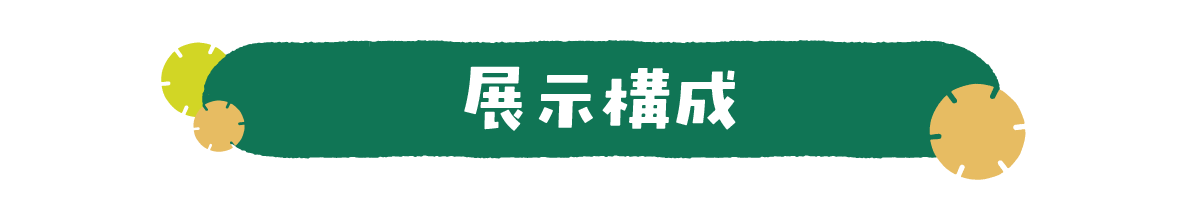 展示構成