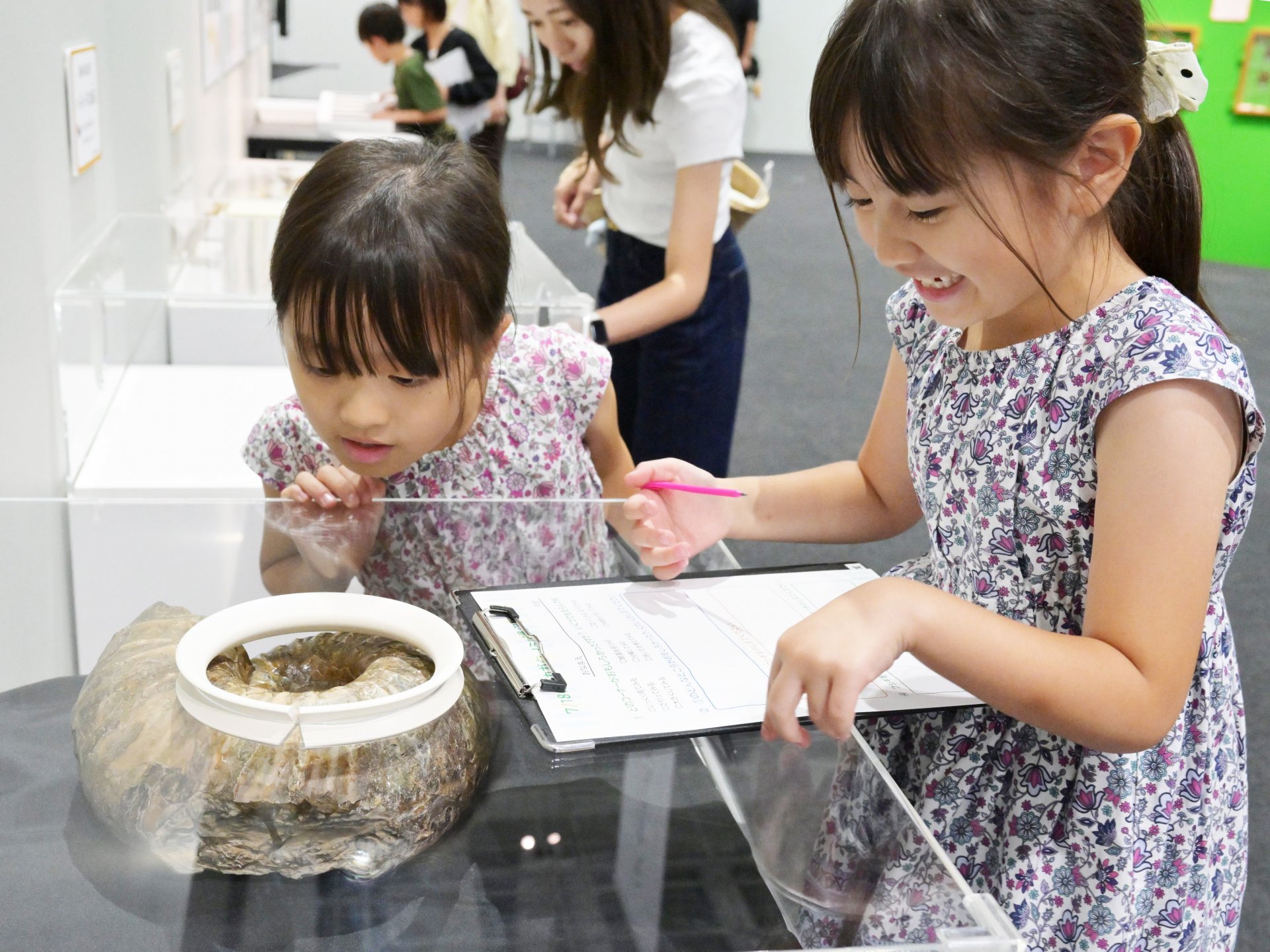 展示概要