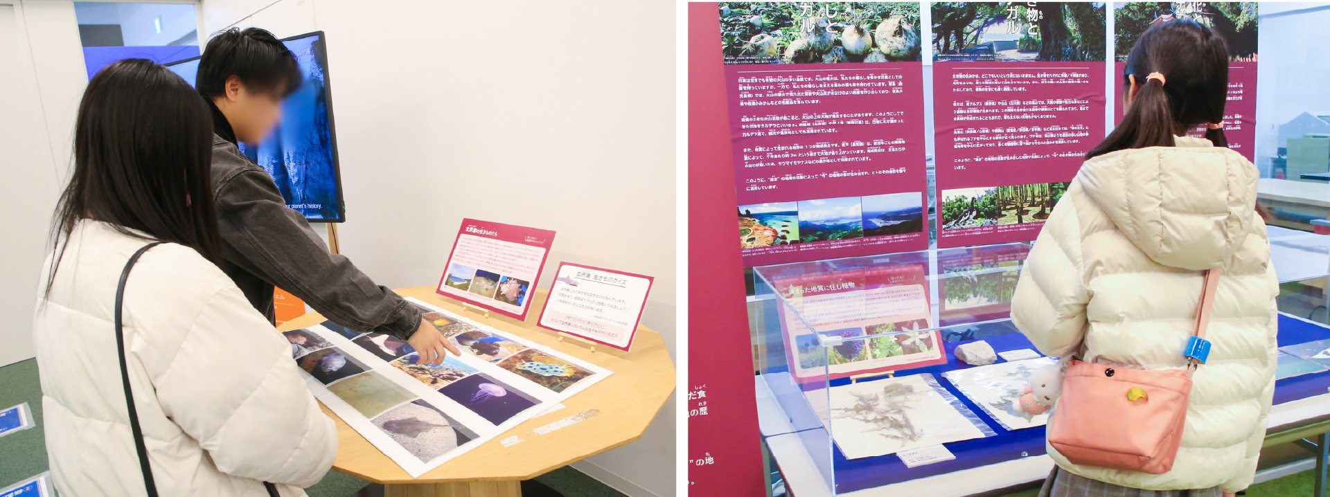 展示構成