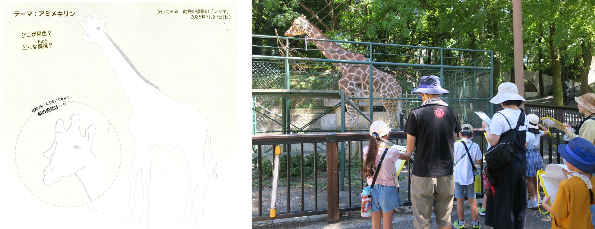 かいてみる 動物の模様の「フシギ」