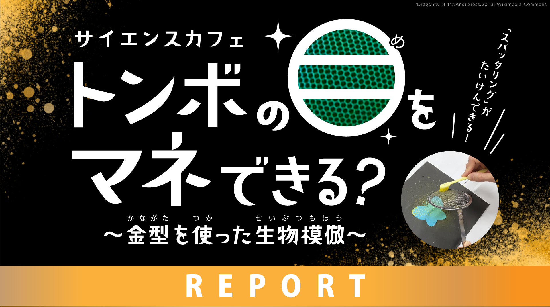 サイエンスカフェ「トンボの目をマネできる！？　～金型を使った生物模倣～」レポート
