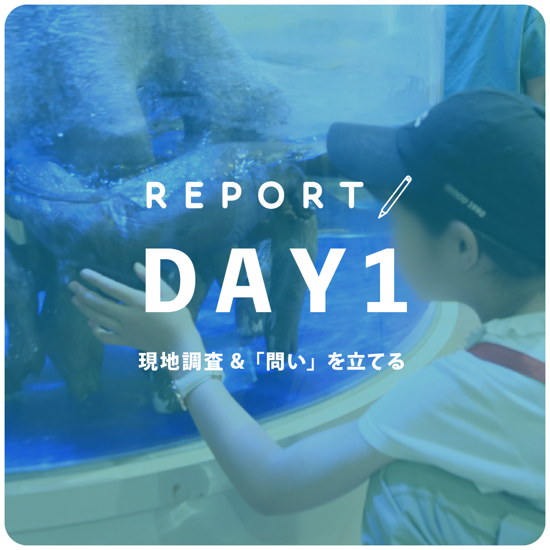 第1回