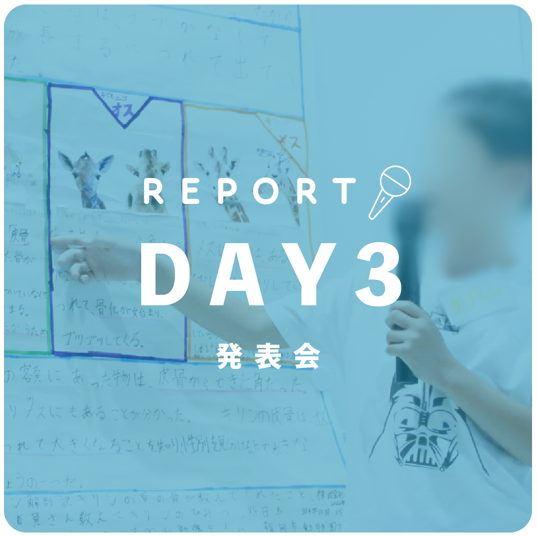 第3回