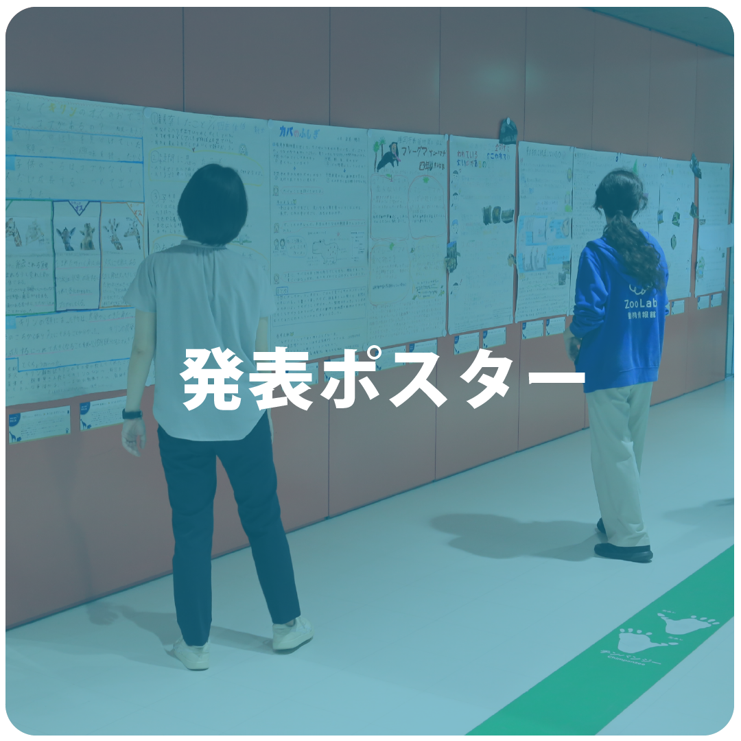 発表ポスター