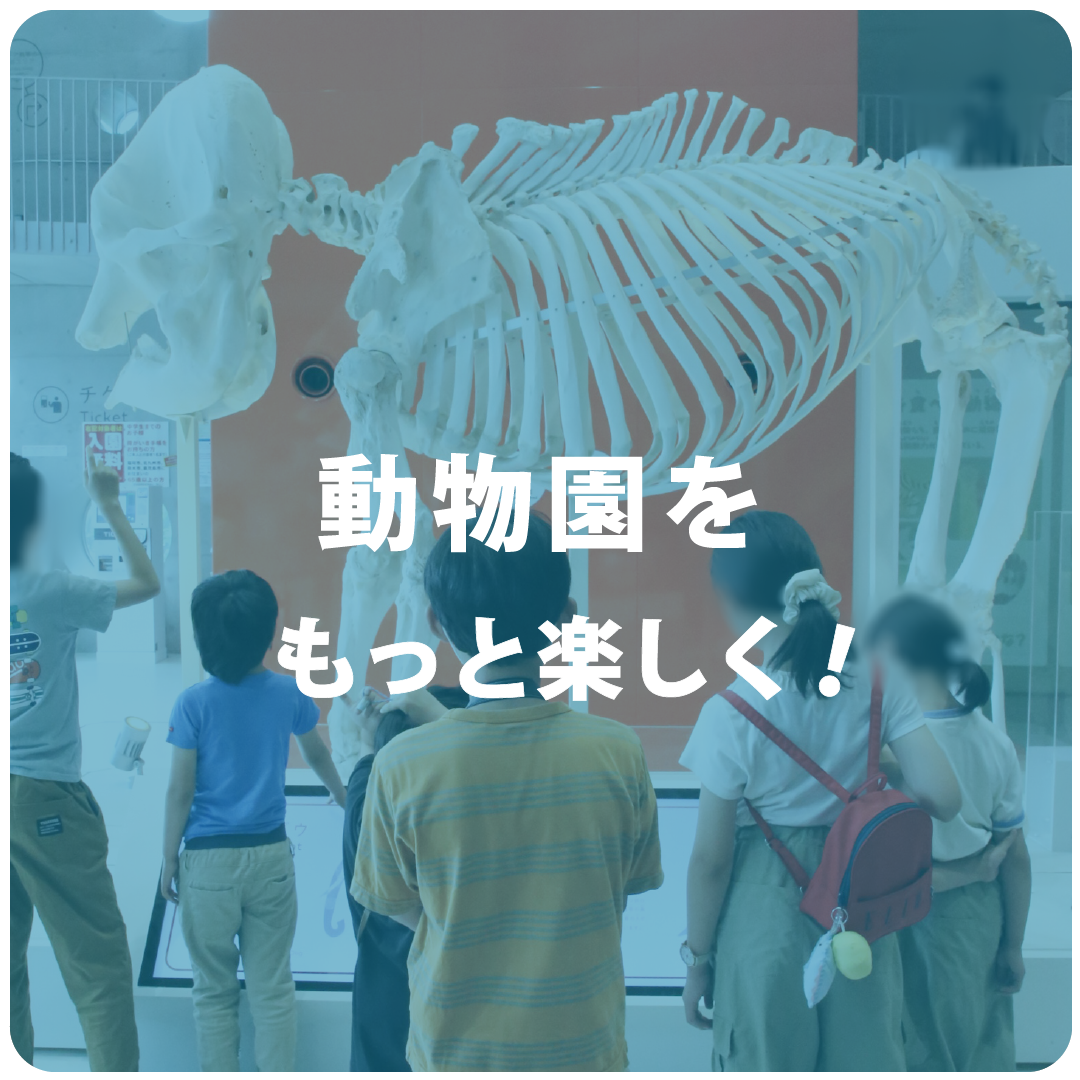 動物情報館