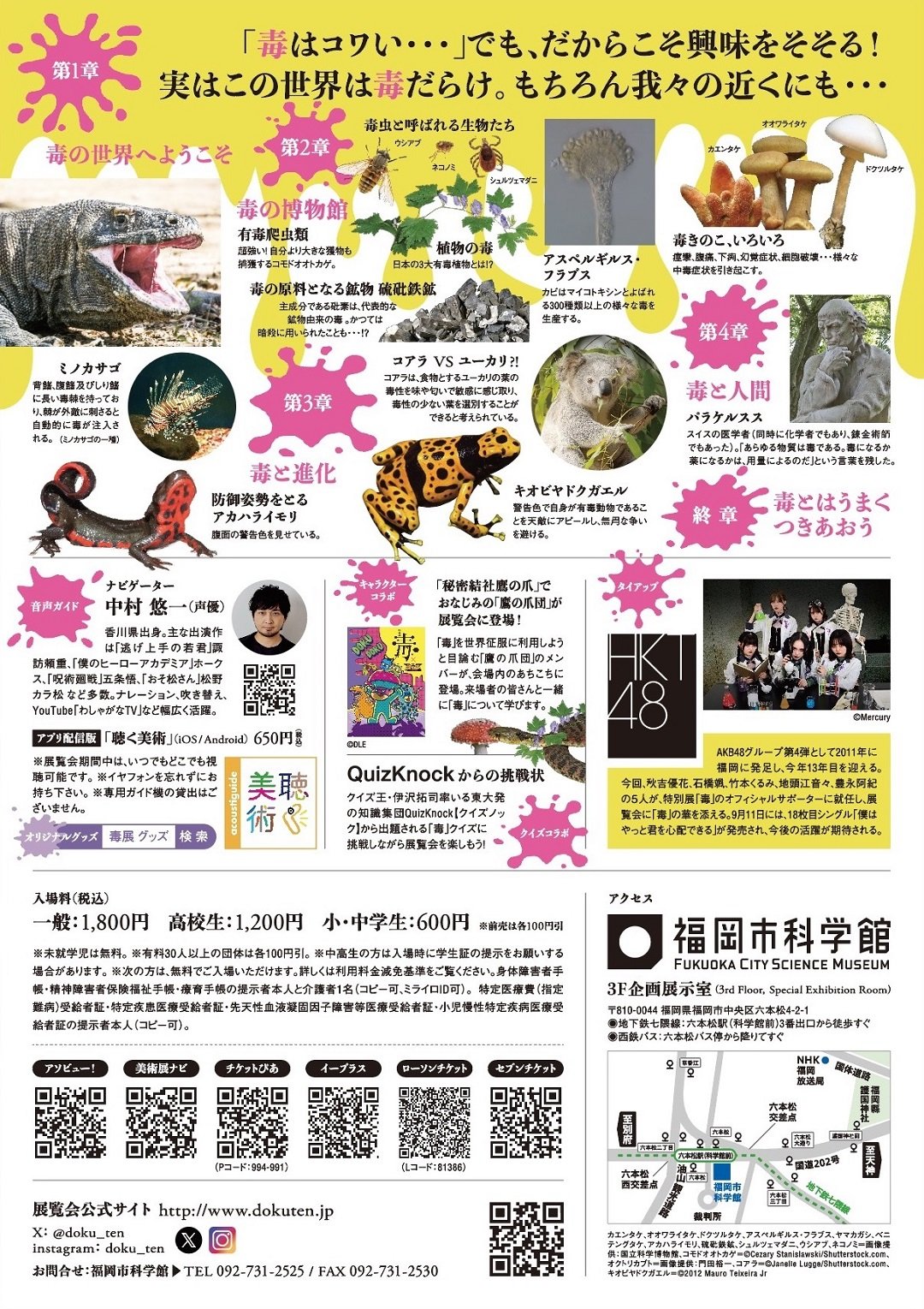 A4チラシ裏_web.jpg