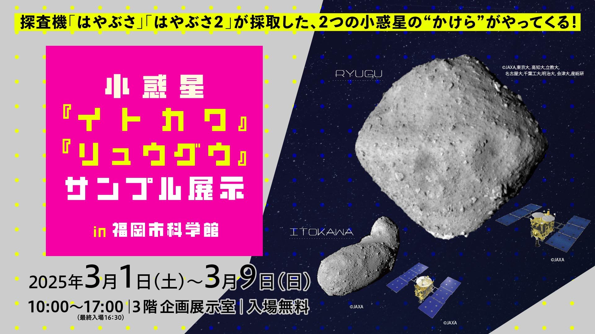 イトカワ企画展バナー241204.jpg